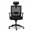 Allseating Computer Chair - Entail - headrest, lumbar support, black frame, jet black mesh back