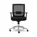 Allseating Computer Chair - Entail - lumbar support, black frame, jet black mesh back, chrome base
