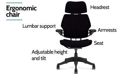 the ergonomic chair features